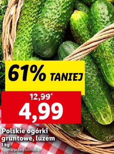 ogórek gruntowy