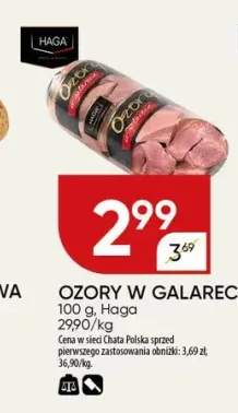 ozory w galarecie