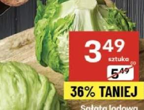 sałata lodowa