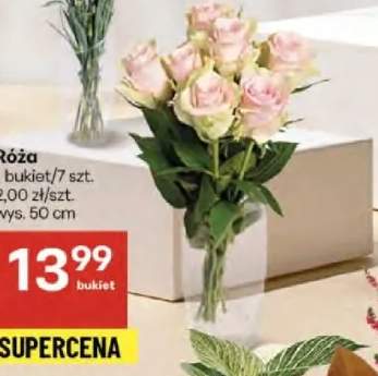 róże bukiet