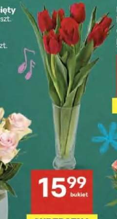tulipany bukiet