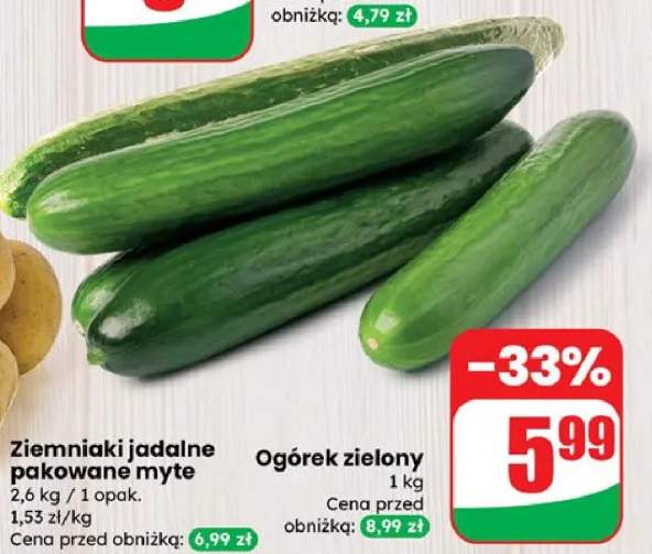 ogórek długi