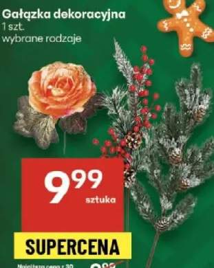 gałązka dekoracyjna