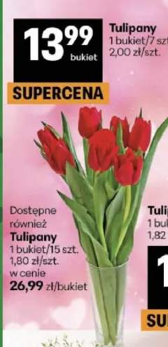 Tulipany