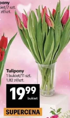 Tulipany