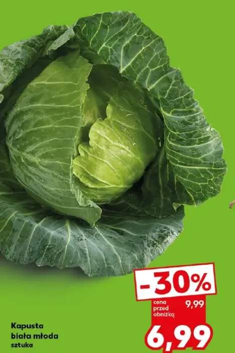 kapusta młoda