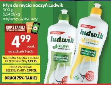 Płyn do mycia naczyń Ludwik 900g, miętowy, cytrynowy