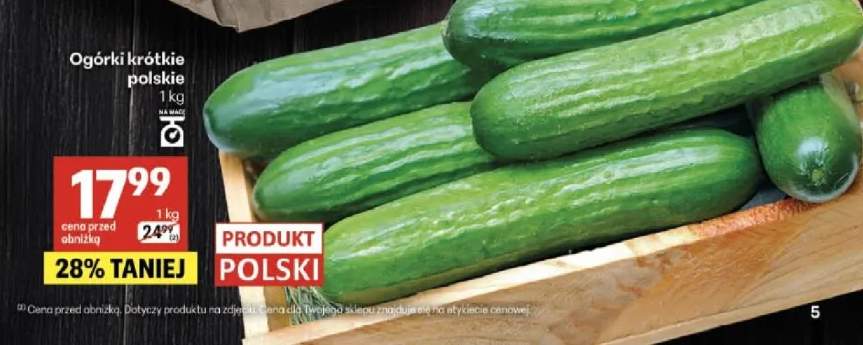 Ogórki krótkie polskie
