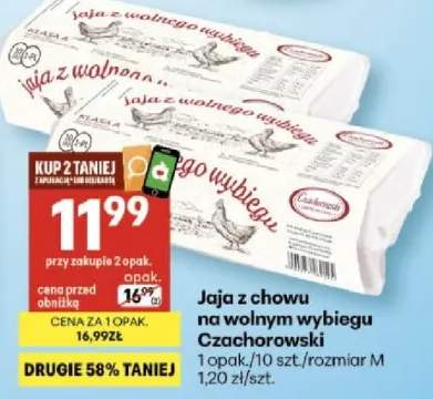 Jaja z chowu na wolnym wybiegu