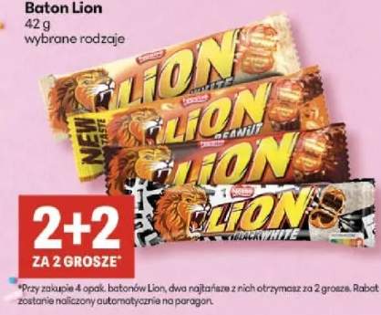 Baton Lion wybrane rodzaje