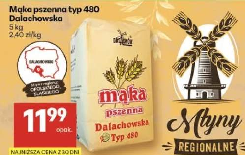 Mąka pszenna typ 480 Dalachowska