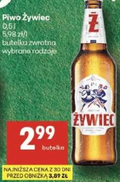Piwo Żywiec