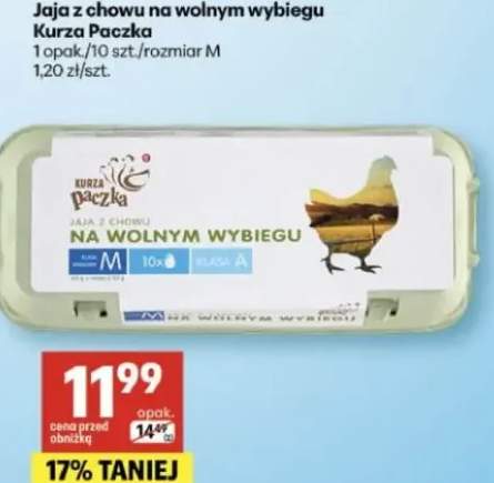 Jaja z chowu na wolnym wybiegu