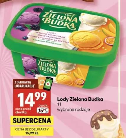 Lody Zielona Budka wybrane rodzaje