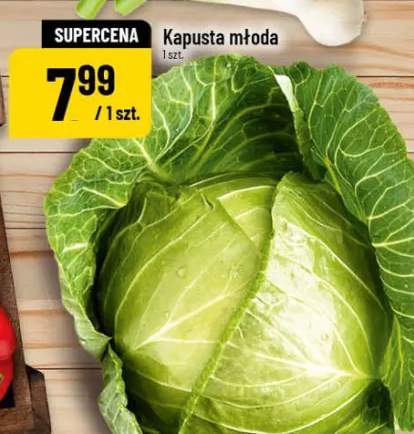 kapusta młoda