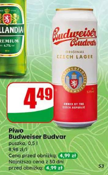 piwo Budweiser