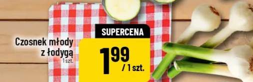 czosnek młody