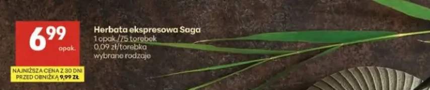 Herbata ekspresowa czarna Saga