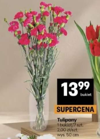 Tulipany