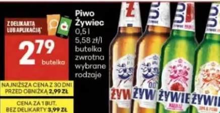 Piwo Żywiec