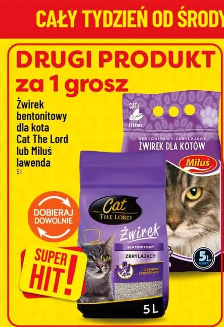 żwirek dla kotów