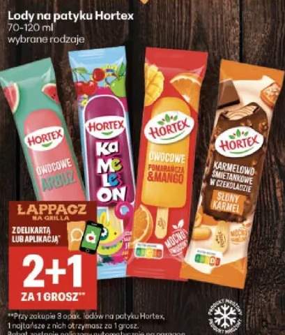 Lody na patyku Hortex