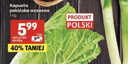Kapusta pekińska wczesna