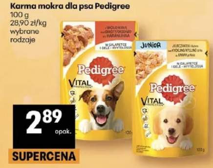 Karma mokra dla psa Pedigree