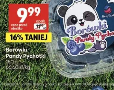 Borówki Pandy Pychotki Berry Trade