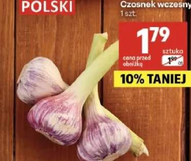 Czosnek wczesny