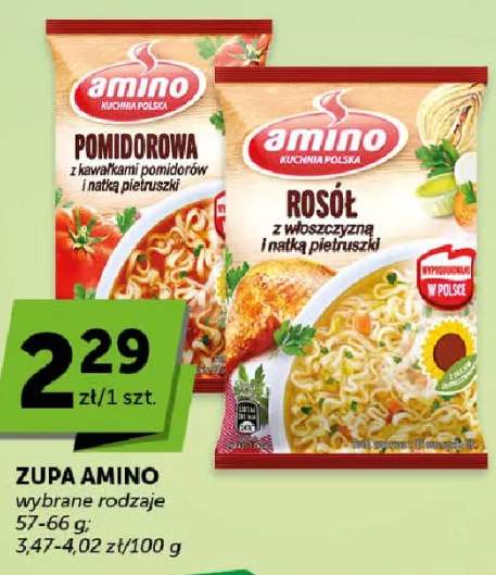 zupa instant