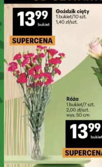 Goździk cięty