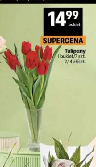 Tulipany