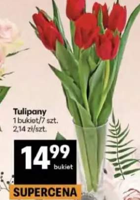 Tulipany