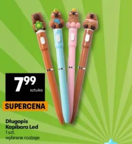 Długopis Kapibara Led