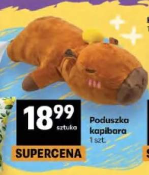 Poduszka kapibara