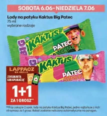 Lody na patyku Kaktus Big Patec Sensei