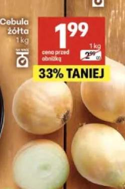 Cebula żółta polska