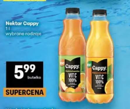 Nektar Cappy multiwitamina