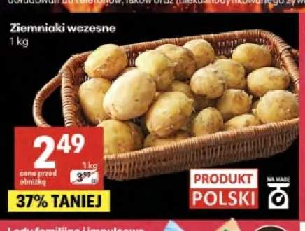 Ziemniaki wczesne polskie