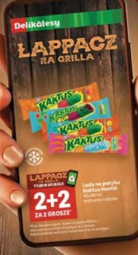 Lody na patyku Kaktus Nestlé 45-48ml
