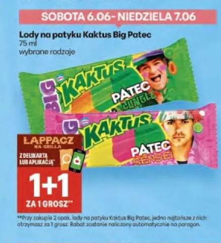 Lody na patyku Kaktus Big Patec Jungle
