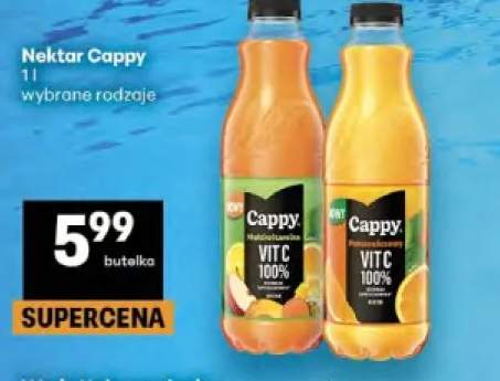 Nektar Cappy multiwitamina