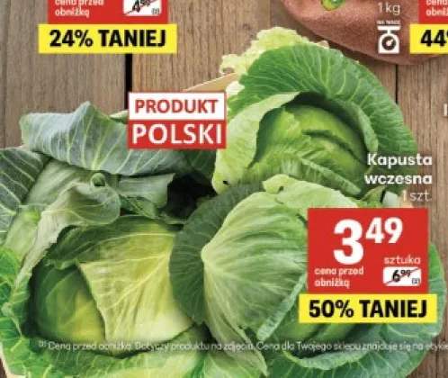 Kapusta wczesna polska