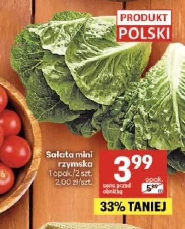 Sałata mini rzymska polska