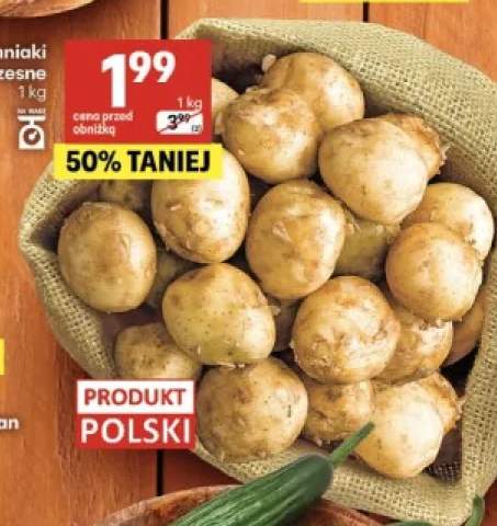 Ziemniaki wczesne polskie