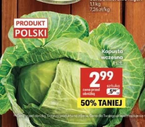Kapusta wczesna polska