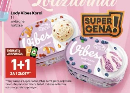 Lody Vibes Koral