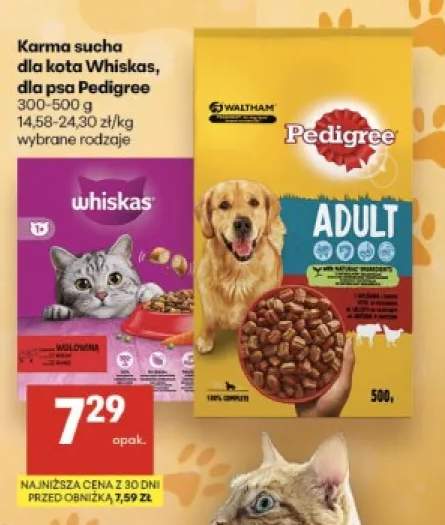 Karma sucha dla kota Whiskas +1 wariant