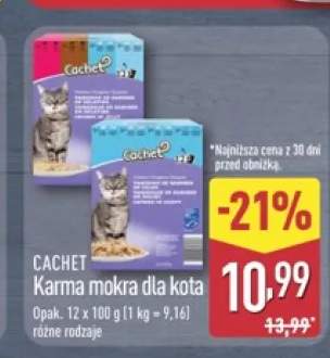 karma dla kota